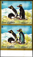 BIRDS-PENGUINS-IMPERF PAIR- DRY PRINTING- VARIETY-  SOUTHERN ROCKHOPPER & MACARONI PENGUINS-UMM AL QIWAIN-1992-MNH-B9-39 - Pinguine