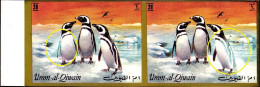 BIRDS-PENGUINS-IMPERF PAIR- DRY PRINTING- VARIETY- MAGELLANIC PENGUINS-UMM AL QIWAIN-1992-MNH-B9-42 - Pinguïns & Vetganzen