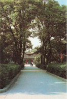 CHINE - The Forest Of Steles - Animé - Carte Postale - Chine