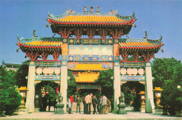 CHINE (HONG KONG) - Ching Chung Koon Temple - Castle Peak NT - Carte Postale - China (Hong Kong)