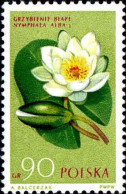 Pologne Poste N** Yv:1190 Mi:1330 Nympheae Alba - Unused Stamps