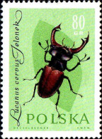 Pologne Poste N** Yv:1145 Mi:1282 Lucanus Cervus - Unused Stamps