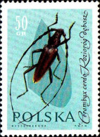 Pologne Poste N** Yv:1143 Mi:1280 Cerambyx Cerdo - Unused Stamps