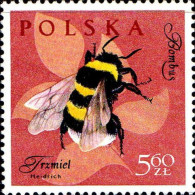 Pologne Poste N** Yv:1151 Mi:1288 Bombus Hortorum (Petit Def.gomme) - Unused Stamps