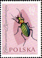 Pologne Poste N** Yv:1144 Mi:1281 Carabus Auronitens - Nuevos