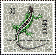 Pologne Poste N** Yv:1259/1270 Reptiles & Amphibiens - Ongebruikt