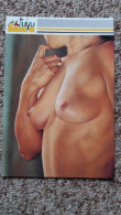 CPM FEMME NUE SEINS NUS HUILE PAR ALAIN PIERRE VISION TYPEE N° 7 ED DES TUILERIES - Peintures & Tableaux