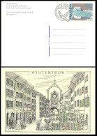 Suisse Entier-P Obl (1996CP2) Internationales Sammler-Festival Winthertur Fdc 29.8.96 - Postwaardestukken