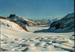 Suisse CP Non-circulée (0055) Jungfraujoch 3454m Gabelhorn & Monteleone - Sonstige & Ohne Zuordnung