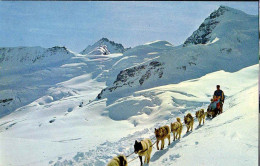 Suisse CP Non-circulée (0054) Jungfraujoch 3454m Rottalhorn & Polarhunde - Sonstige & Ohne Zuordnung