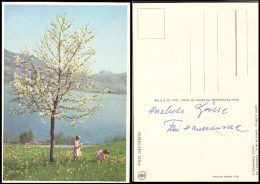 Suisse CP Non-circulée (0066) Pro Infirmis H.Schellenberg Le Lac De Lowerz - Paintings