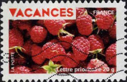 France Poste AA Obl Yv: 325 Mi:4672 Vacances Framboises (Lign.Ondulées) - Used Stamps