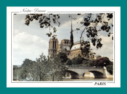 75 Paris Notre Dame 003 - Notre Dame De Paris