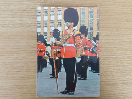 ANGLETERRE - London - A Drum Major De La Garde Royale - Otros & Sin Clasificación