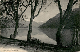 Am Brienzersee (13515) * 19. 9. 1910 - Brienz