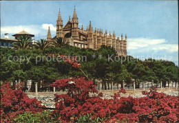 72404292 Palma De Mallorca Catedral Palma - Other & Unclassified