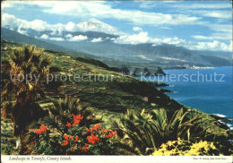 72404174 Tenerife Landschaft  - Autres & Non Classés