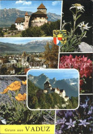 72404059 Vaduz Blumen Schloss Vaduz - Liechtenstein