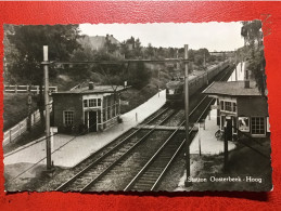 Oosterbeek Station Trein 1957 - Oosterbeek