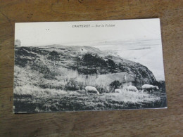 CARTERET / Sur La Falaise - Carteret