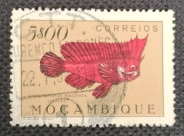 MOZPO0371UBE - Fishes - 5$00 Beige Used Stamp - Mozambique - 1951 - Mozambique