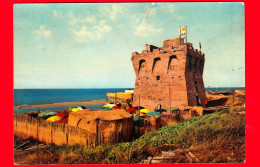 ITALIA - Molise - Cartolina Non Viaggiata - Termoli (Campobasso) - Torre Saracena - Strappo .. - Andere & Zonder Classificatie