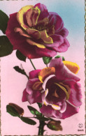 FLOWERS, ROSES, FRANCE, POSTCARD - Flores