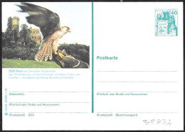 Germania/Germany/Allemagne: Intero, Stationery, Entier, Falconeria, Falconry, Fauconnerie - Arends & Roofvogels