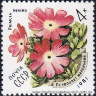 UDSSR 1981, Mi. 5074-78 ** - Unused Stamps