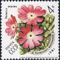 UDSSR 1981, Mi. 5074-78 ** - Ungebraucht