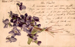 P0 - Carte Postale Fantaisie - Fleurs Violettes - Fleurs