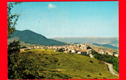 ITALIA - Molise - Cartolina Viaggiata Nel 1980 - Capracotta (m. 1421) (Isernia) - Panorama - Andere & Zonder Classificatie