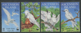 Ascension Island:Unused Stamps Serie Birds, Fairy Tern, WWF, 1999, MNH - Ungebraucht