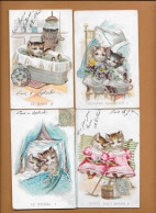 CHATS  - Lot 4 Cpa Chatons Humanisés - Katzen