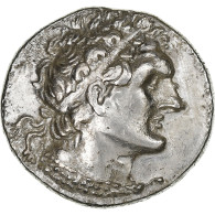 Ptolemaic Kingdom, Ptolemy VI, Tétradrachme, 175-174 BC, Paphos, Argent, TTB+ - Griechische Münzen