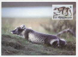 Maximum Card Finland 1993 Arctic Fox - WWF - Other & Unclassified