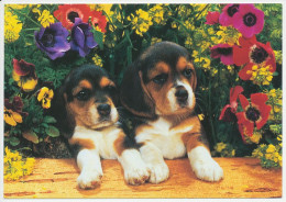 Postal Stationery Sweden Dog - Puppy - Sonstige & Ohne Zuordnung