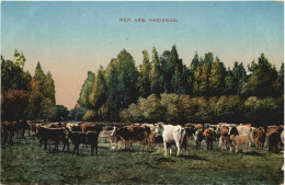 Argentina - Hacienda - Argentine