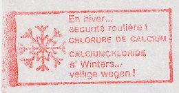 Meter Cut Belgium 1989 Winter - Snow Crystal - Klima & Meteorologie