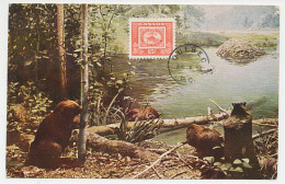 Maximum Card Canada 1954 Beaver - Andere & Zonder Classificatie