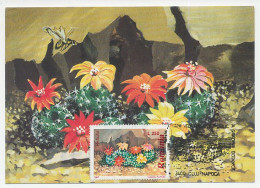 Maximum Card Rumania 1997 Cactus - Sonstige & Ohne Zuordnung