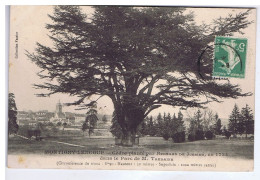 SEINE Et MARNE - MONTIGNY-LENCOUP - Cèdre Planté Par Bernard De JUSSIEU En 1734 - Parc De M. TAUDAINE - Autres & Non Classés