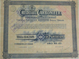 S.A. Creditul Carbonifer -act.la Purtator De 5000 Lei - Bucuresti  - 1920 - Mines