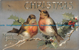 R148574 Christmas Hearty Greetings. Birds. B. B. London. 1907 - Autres & Non Classés
