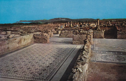 Ampurias, Mosaicos Romanos - Gerona