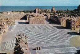 Ampurias, Mosaicos Romanos - Gerona