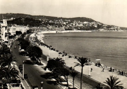 France > [06] Alpes Maritimes > Nice - Promenade Des Anglais - Le Mont Boron - 8388 - Parken En Tuinen