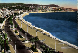 France > [06] Alpes Maritimes > Nice - Promenade Des Anglais -  8389 - Parks