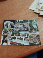 565 //  ZOO KARLSRUHE  STADTGARTEN - Otros & Sin Clasificación