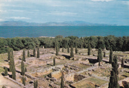 Ampurias, Nécropolis Griega - Gerona